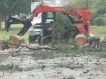 Storm damage fallen trees